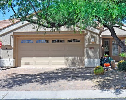 13203 N Silver Cholla, Marana