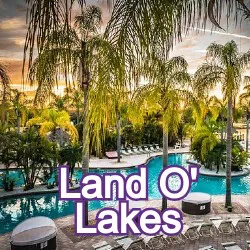 Land O' Lakes Florida Homes for Sale