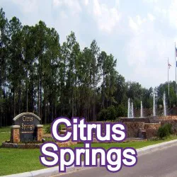 Citrus Springs Florida Homes for Sale