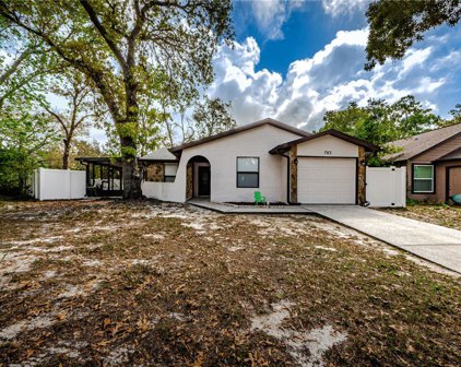 783 Arthurs Court, Tarpon Springs