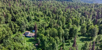 2187 N Parks Highway, Talkeetna