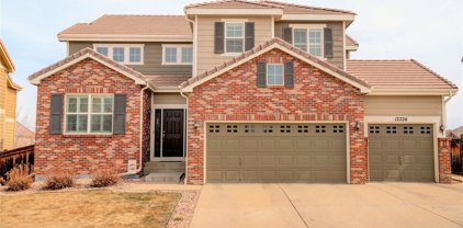 12226 S Eagle Hawk Trail, Parker