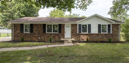 312 Golden Dr, Clarksville