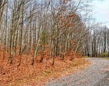 6864 Ridge Road, Ellicottville