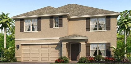 12329 Mountain Island Trail, Parrish