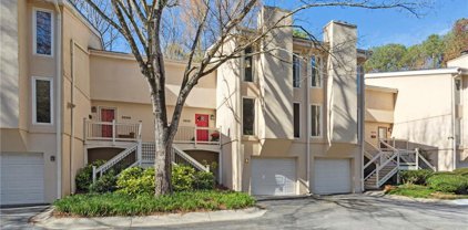 3010 Vinings Ferry Se Drive, Atlanta