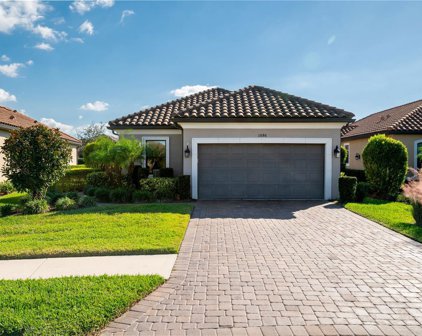 11686 Callisia Drive, Odessa