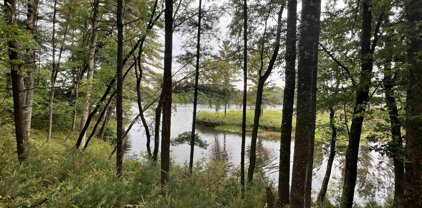Lot 29 EAST SHORE TRAIL, Wisconsin Rapids