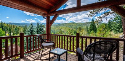 29477 Blue Moon Drive, Evergreen