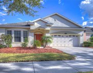 10934 Ancient Futures Drive, Tampa image