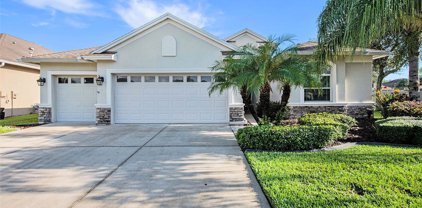 3329 Stonegate Falls Dr., Land O' Lakes