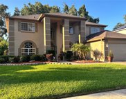 Ocoee image