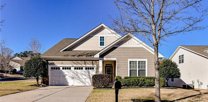 1223 Gold Rush  Court, Fort Mill