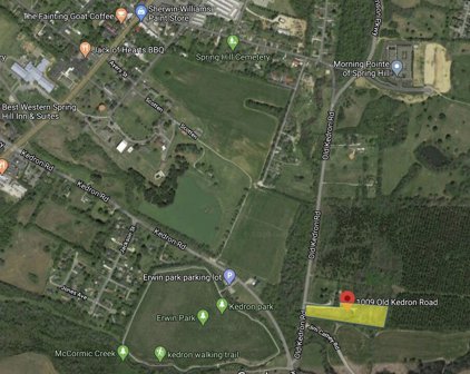 1009 Old Kedron Rd, Spring Hill
