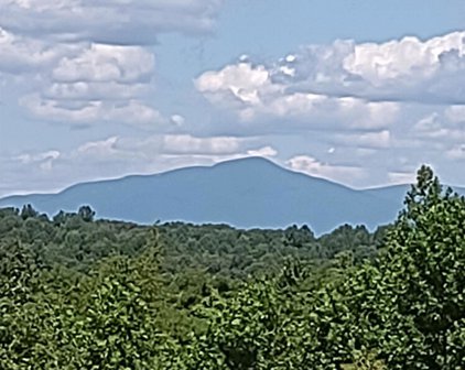 Amherst