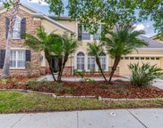 16119 Colchester Palms Drive, Tampa image
