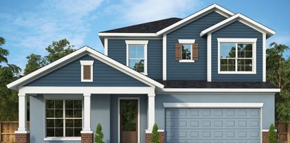 1491 Gopher Loop, Tarpon Springs