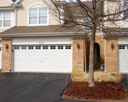 1224 Tamarack Drive Unit #1224, Bartlett