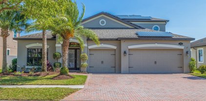 1846 Cameron Court, Trinity