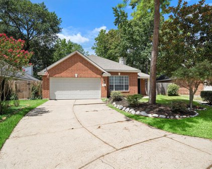 38 Bayou Springs Court, The Woodlands