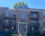 14 Cloverwood Ct Unit #202, Essex image