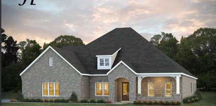 656 Charleston Mills Drive, Dothan