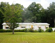 17190 Nw 83rd Ct 32693, Fanning Springs image