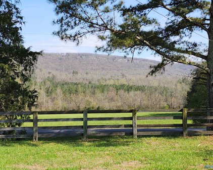 1565 County Road 239, Valley Head