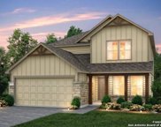 955 Steeplebush, New Braunfels image