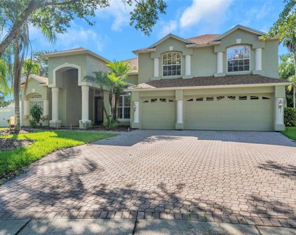 16306 Payton Court, Tampa