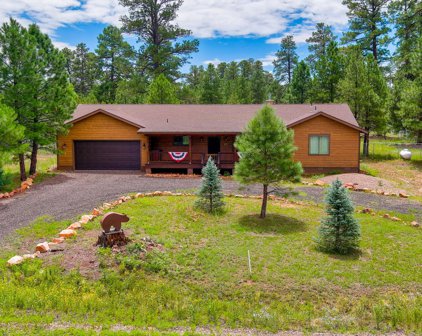 2054 Christmas Pine Road, Overgaard