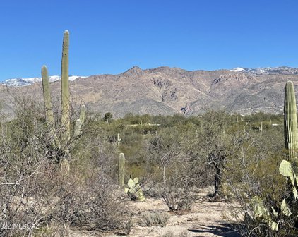 2930 N Lone Dove, Tucson
