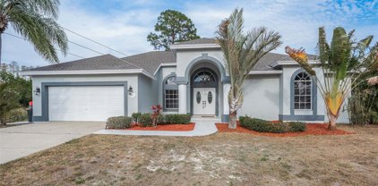 2924 Summervale Drive, Holiday
