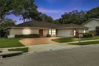 4956 Orange Grove Way, Palm Harbor