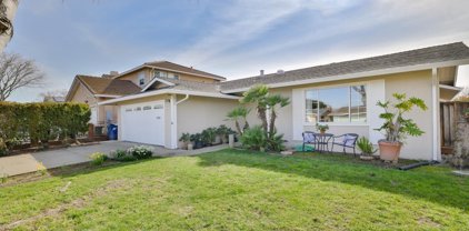 2446 Almaden Blvd, Union City