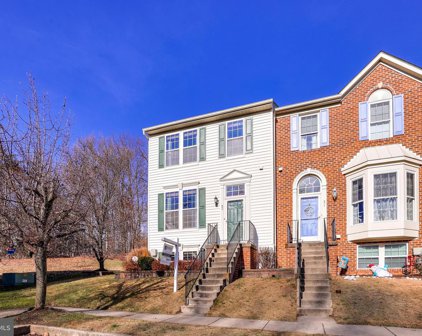 53 Turnbrook   Court, Baltimore