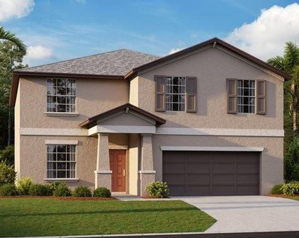 11649 Lavender Loop, Spring Hill