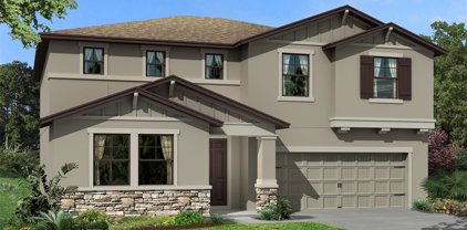 31988 Sapna Chime Drive, Zephyrhills