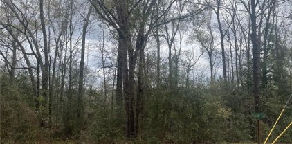 Wilson, Citronelle