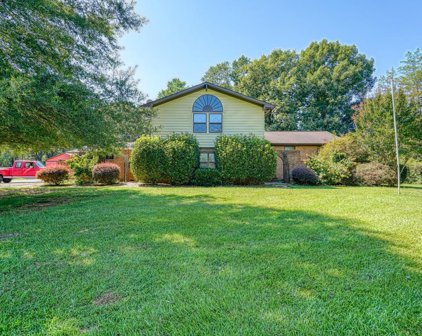 565 Peachtree, Chesnee