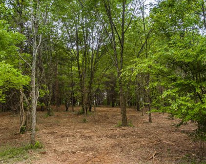 3.03 acres County Road 107, Fort Payne