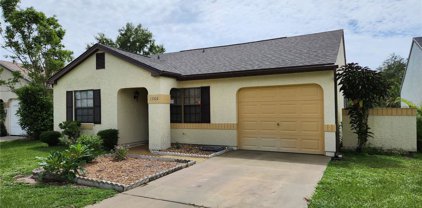 1360 W Corktree Circle, Port Charlotte