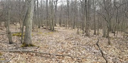 22 Berkshire Dr, Warren Twp.