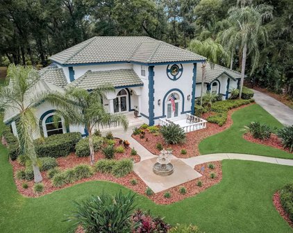 4502 Country Gate Court, Valrico