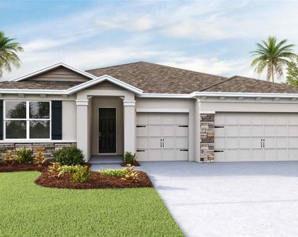 23194 Scaglione Drive, Lutz