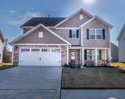 226 Campaign, Mebane image