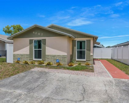 8207 Olivewood Place, Tampa