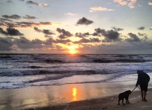 kitty hawk, nc