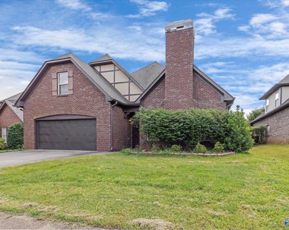 111 Arbor Hill Lane Sw, Huntsville