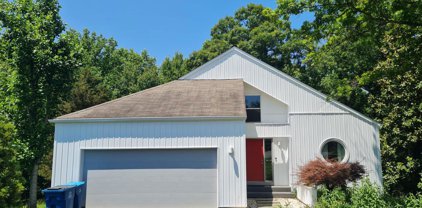 11921 Moss Point Ln, Reston